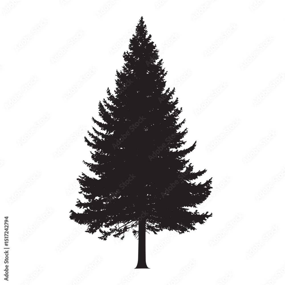 Fototapeta premium Isolated Fir Pine Tree Silhouette