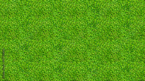 Green grass texture for background. Green lawn pattern and texture background. Close-up.