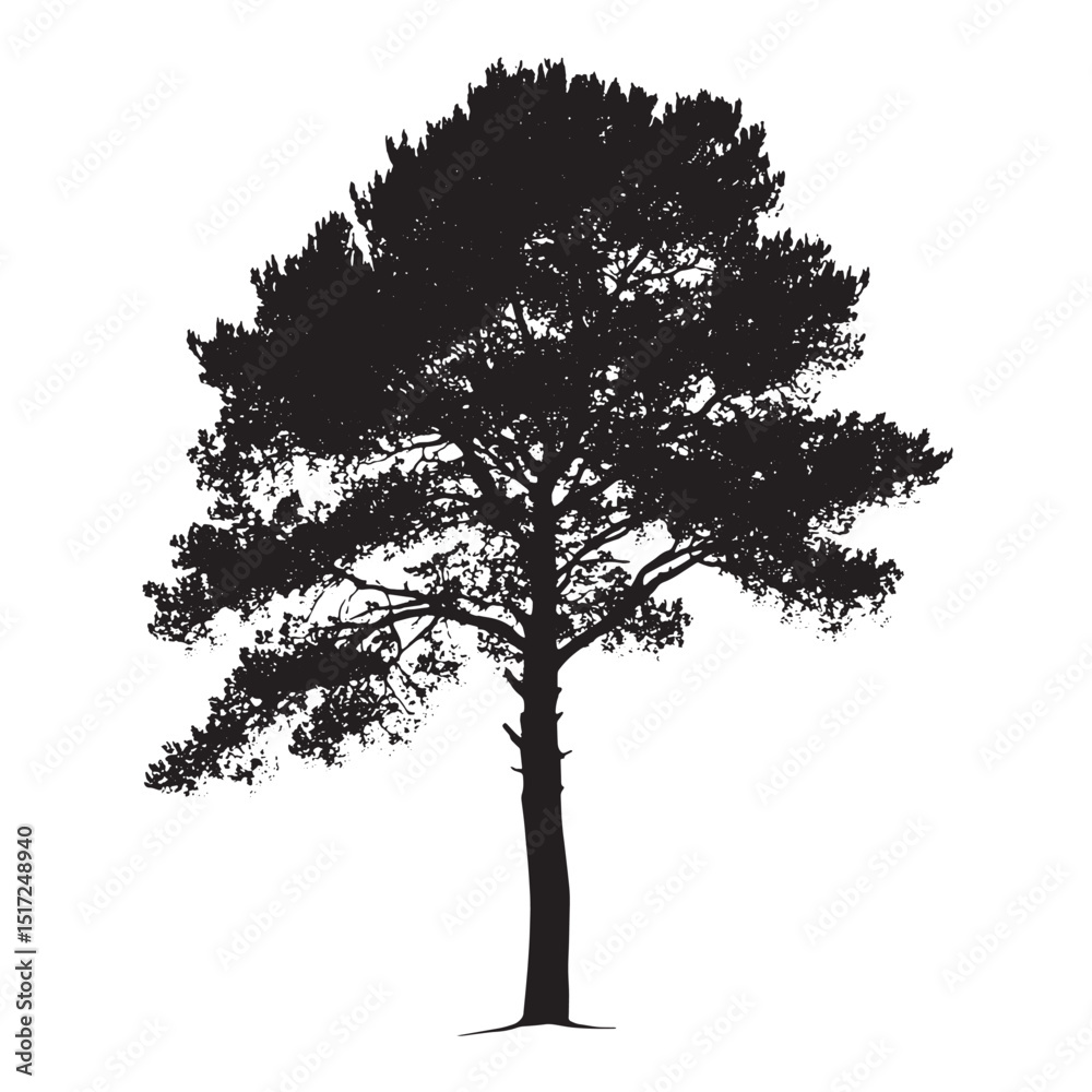 Fototapeta premium Rustic Black Tree Silhouette