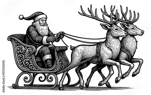 Santa Claus Riding Sleigh with Two Reindeer in Detailed Engraved Black and White Drawing