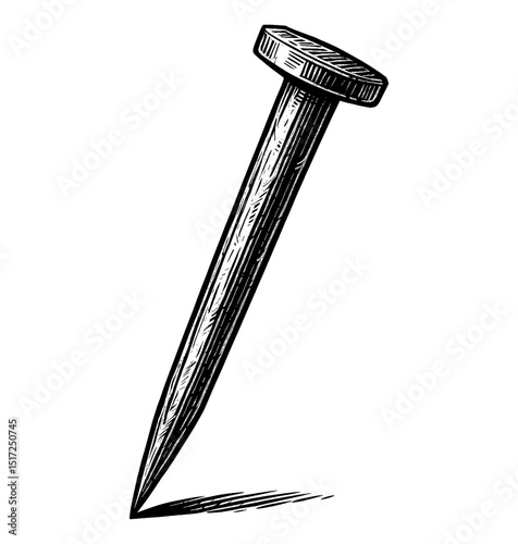 Detailed Engraving of a Metal Nail on a White Background with Shadow