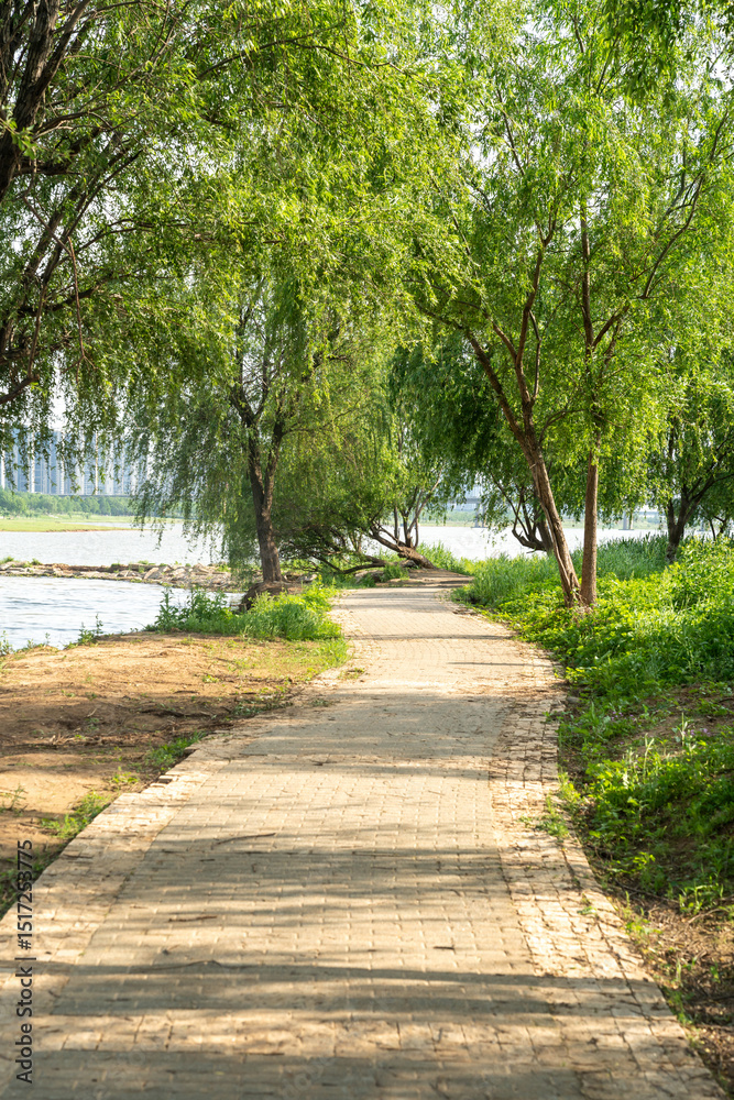 Fototapeta premium The road of City Park in China