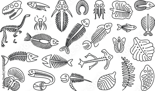 Illustrated collection of hand drawn prehistoric animal fossils and plant life depicted in outlined vector form