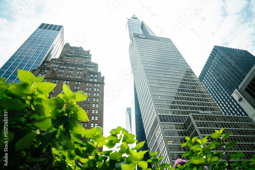Wallpaper Mural A green leafy bush contrasts with soaring towers in New York City. The glass architecture glistens under a cloudy sky. Torontodigital.ca