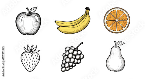 Illustration of assorted fruits including an apple bananas orange strawberry grapes and a pear drawing