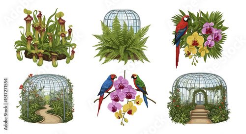 Botanical illustration featuring pitcher plants ferns parrots orchids and ornate glass enclosures design