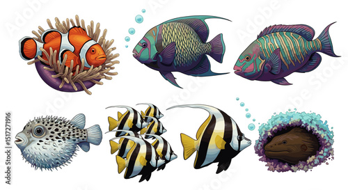 Illustration of diverse tropical fish species including clownfish and angelfish on white background