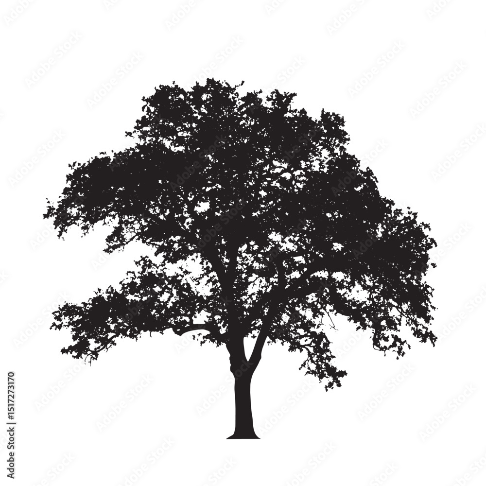 Fototapeta premium Ancient Tree Silhouette Vector