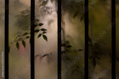 Plants behind the glass