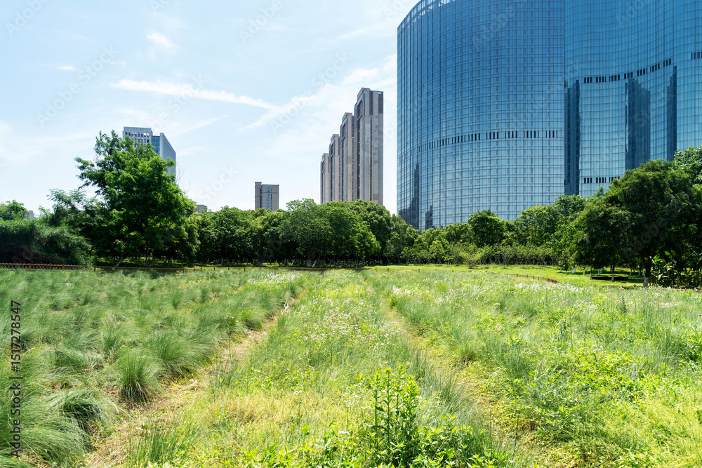 Obraz premium city park with modern building background in shanghai