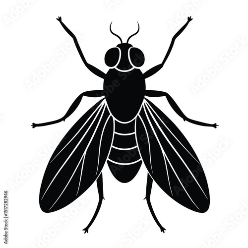 housefly silhouette icon vector on white background