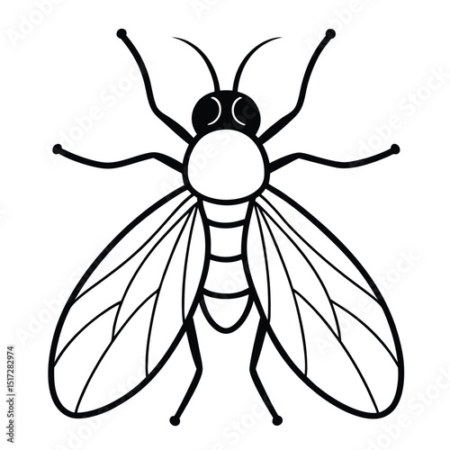 Close-up isolated vector illustration of housefly.