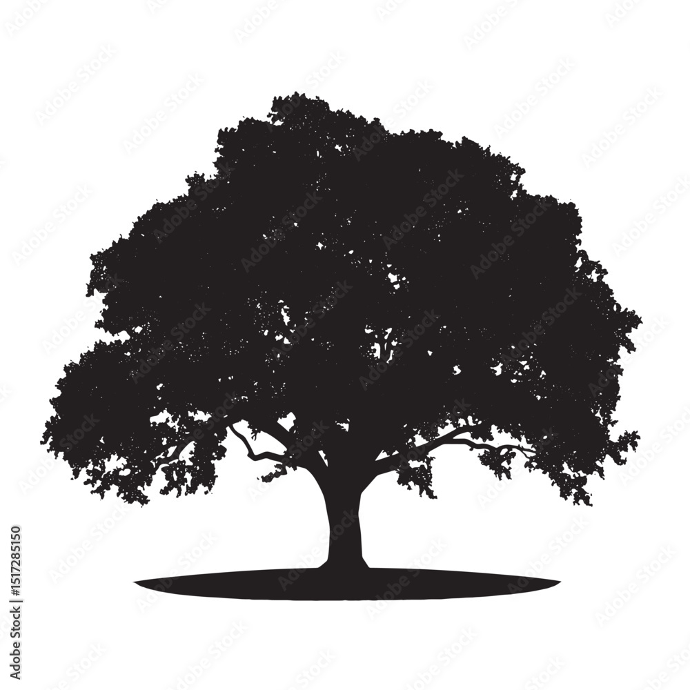 Fototapeta premium Oak Tree Silhouette Isolated on White
