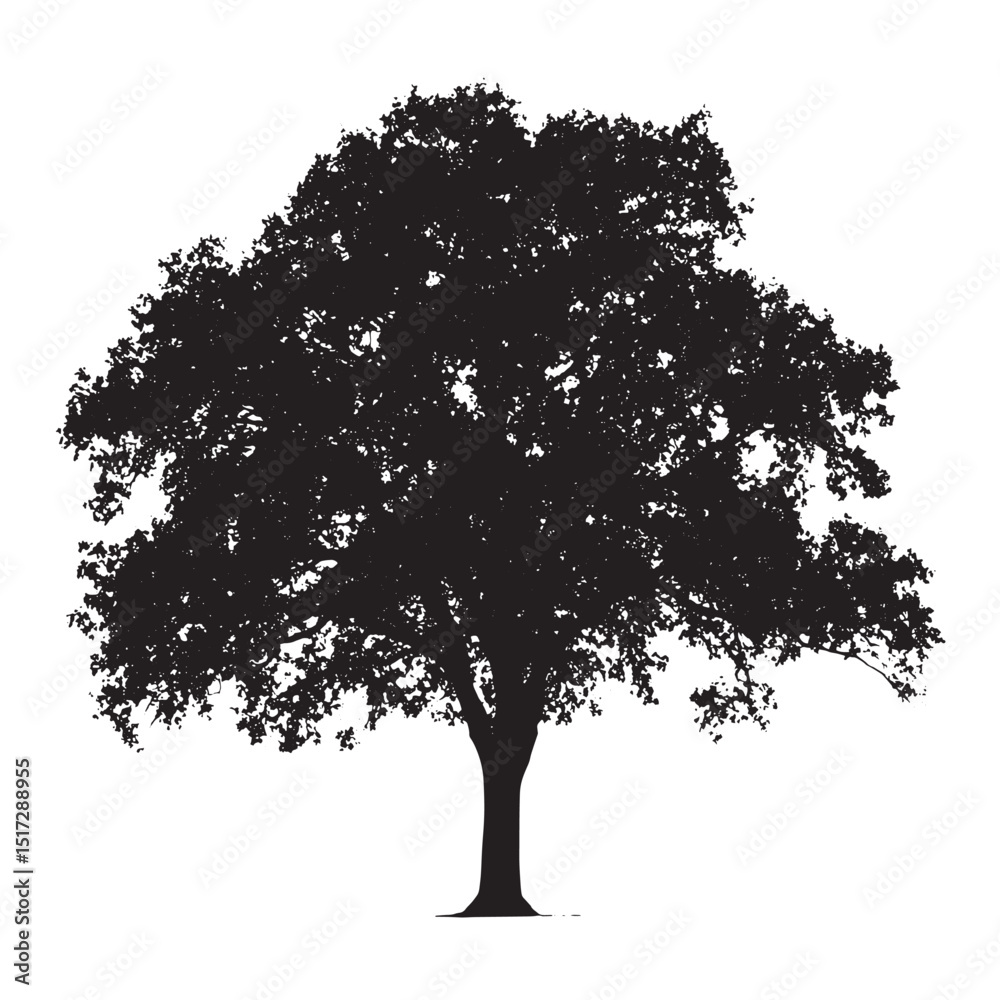 Fototapeta premium Single Oak Tree Silhouette Drawing