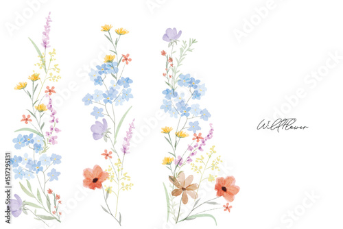 Colorful meadow wildflowers watercolor botanical background frame. Spring and summer Background watercolor arrangements with small flower. Botanical illustration minimal style.