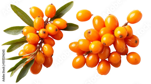 golden sea buckthorn berries with green leaves isolated, transparent background	

