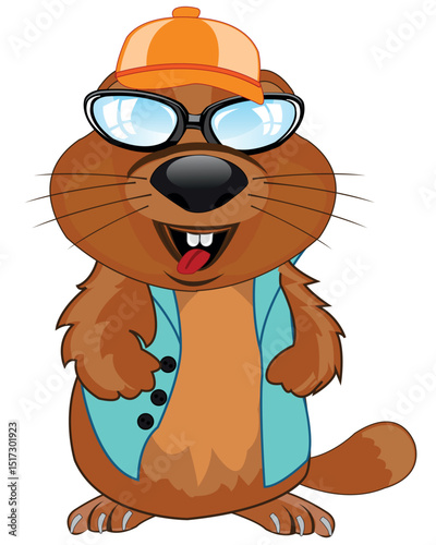 Comic illustration of the woodchuck on white background is insulated