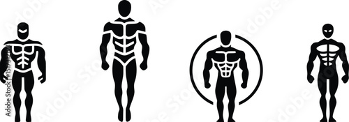 Full Body Muscle Anatomy Vector Illustration – Detailed Human Musculature Diagram

