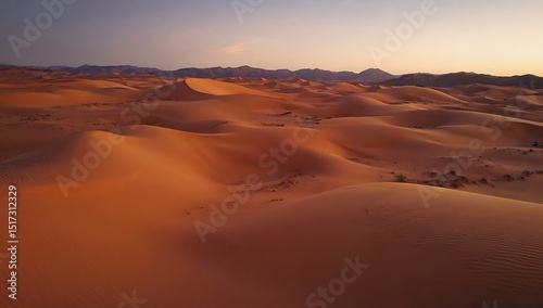 The barrenness of the desert