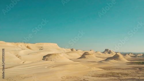 The barrenness of the desert
