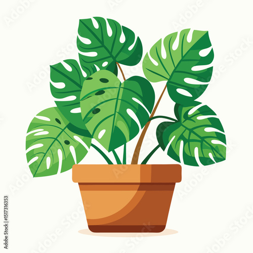 Illustration of a monstera plant in a terracotta pot