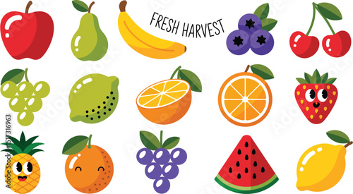 Set of fruits illustration vector