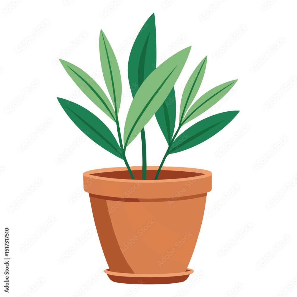 Fototapeta premium A potted plant with long green leaves on a white background