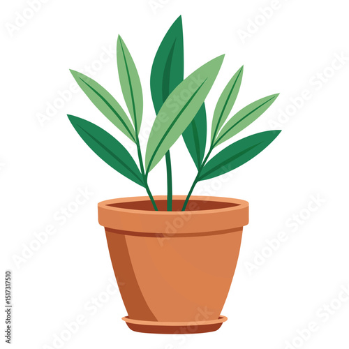 A potted plant with long green leaves on a white background