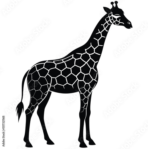 Black and White Giraffe Silhouette Illustration