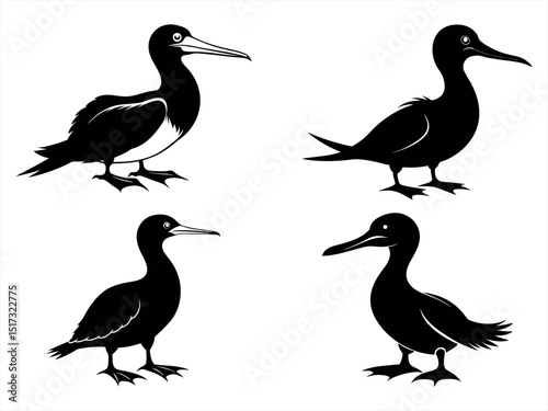 booby sihouette black vector bundle