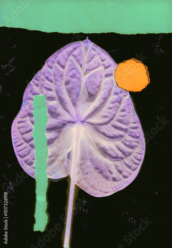 Purple leaf with bright orange circle on black background photo