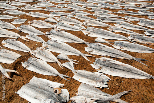 Fish drying on fishing nets