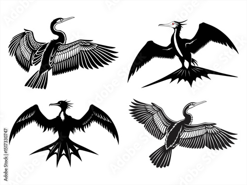 frigatebird sihouette black vector bundle