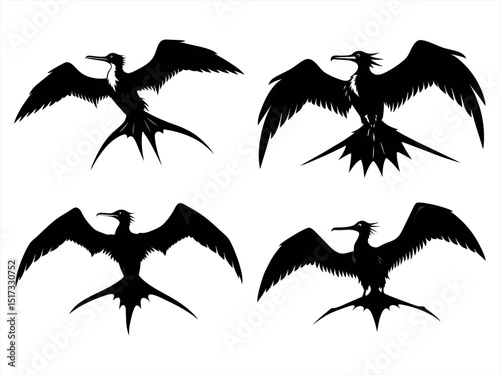 frigatebird sihouette black vector bundle