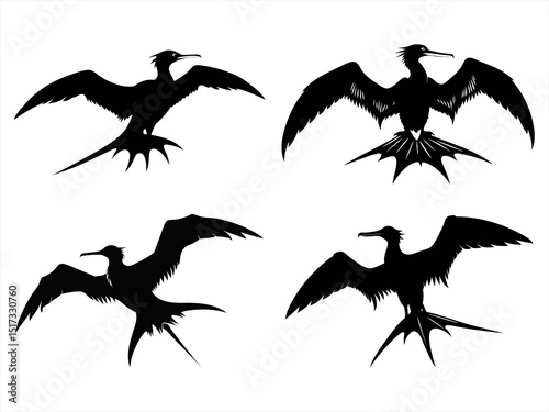 frigatebird sihouette black vector bundle