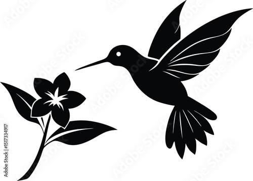 Flying hummingbird vector silhouette with flower, Flying hummingbird bird vector illustration
