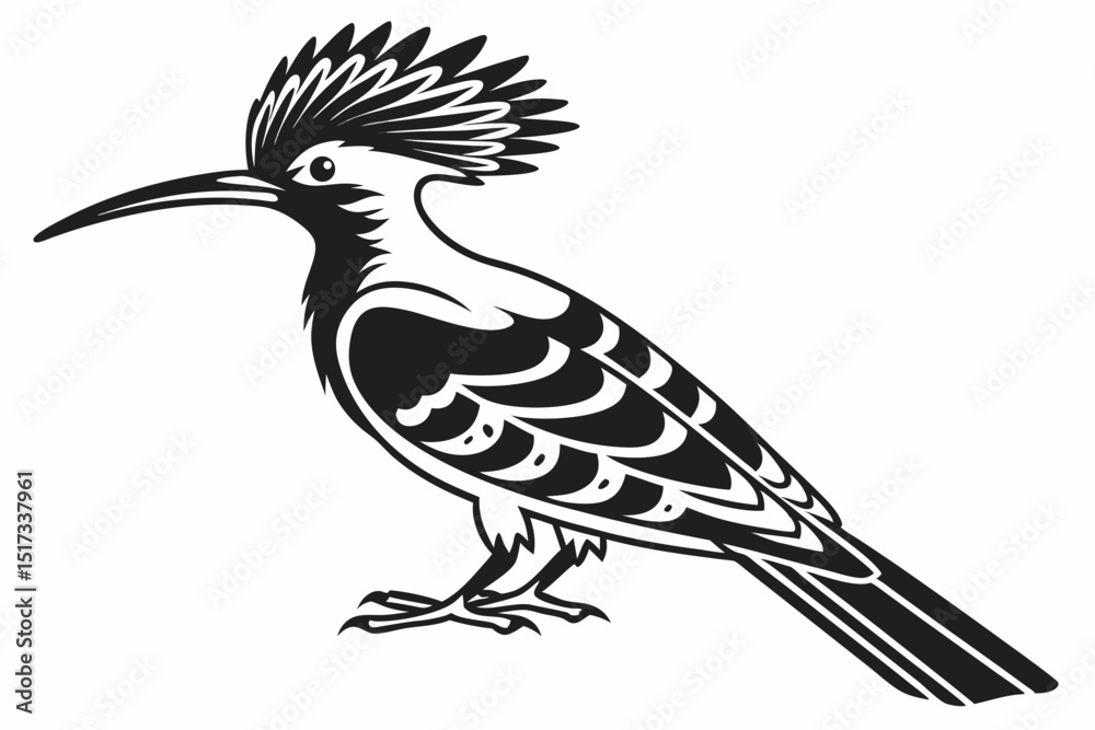 Fototapeta premium hoopoe sihouette black vector