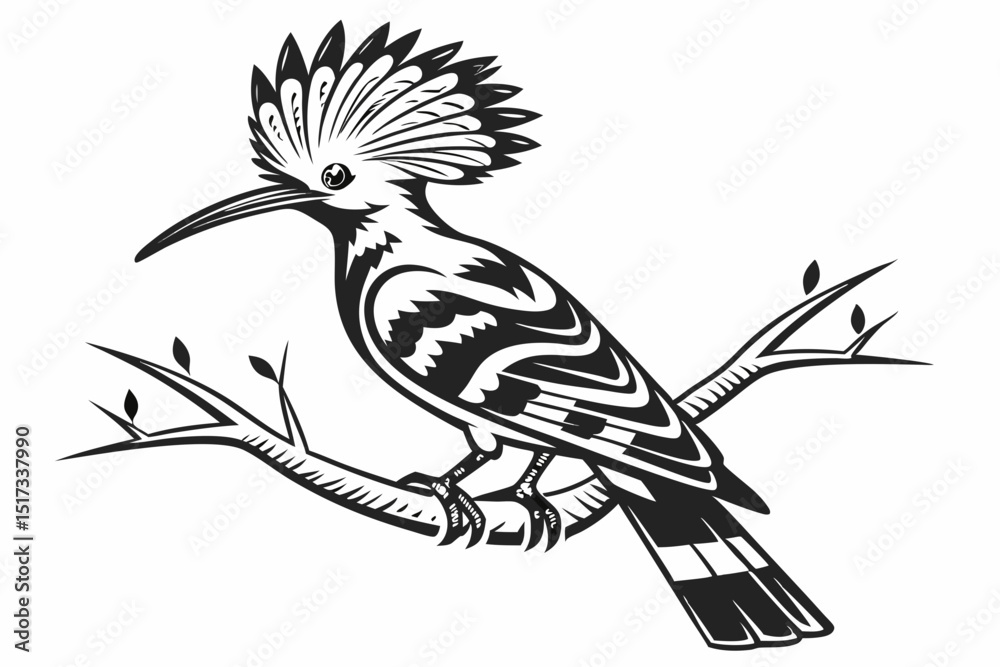 Naklejka premium hoopoe sihouette black vector