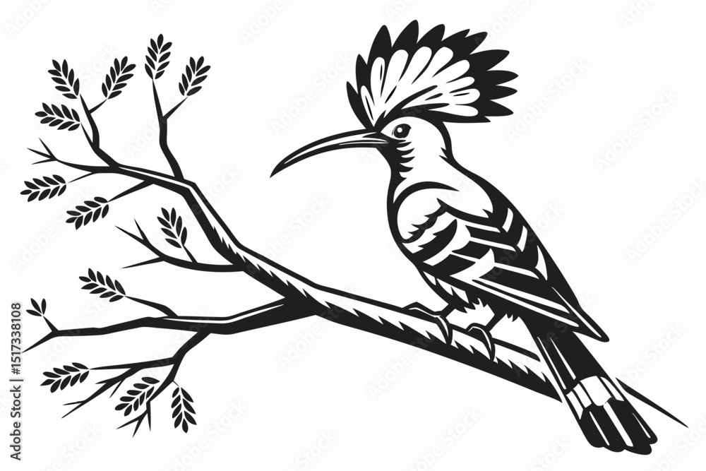 Naklejka premium hoopoe sihouette black vector