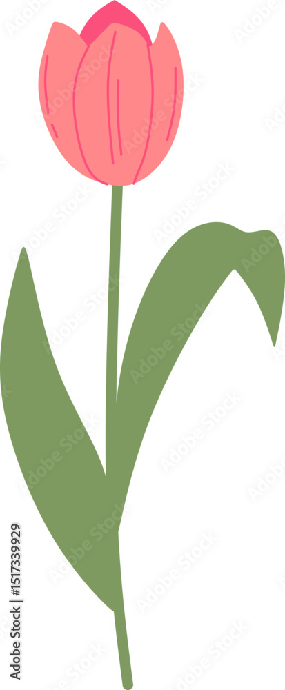 Obraz premium Handdrawn Tulip Flower Decoration