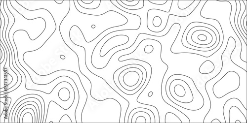 Abstract lines background. Contour maps. Vector illustration. The stylized height of the topographic map contour in lines and contours isolated on transparent. technology topo landscape grid map text