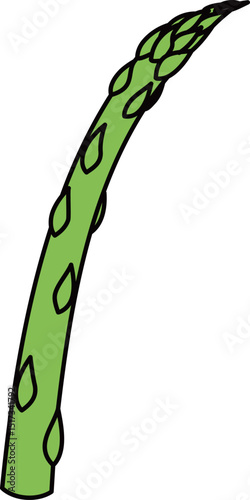 フラットカラーで描かれたアスパラガスのイラスト