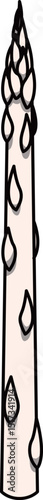 色付きの丸ごとアスパラガスのイラスト