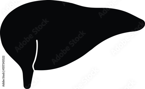 liver silhouette, Liver silhouette vector icon, Minimalist vector silhouette Abstract liver shape organ health care. vector background 