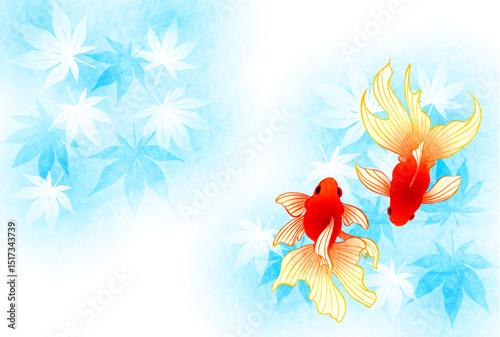 暑中見舞いはがき、紅葉と琉金、かわいい、イラスト、横