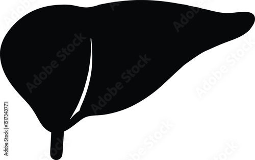 liver silhouette, Liver silhouette vector icon, Minimalist vector silhouette Abstract liver shape organ health care. vector background 