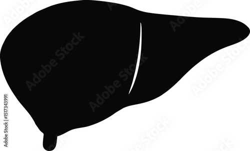 liver silhouette, Liver silhouette vector icon, Minimalist vector silhouette Abstract liver shape organ health care. vector background 