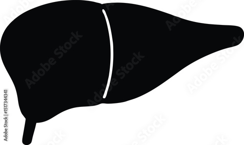 liver silhouette, Liver silhouette vector icon, Minimalist vector silhouette Abstract liver shape organ health care. vector background 