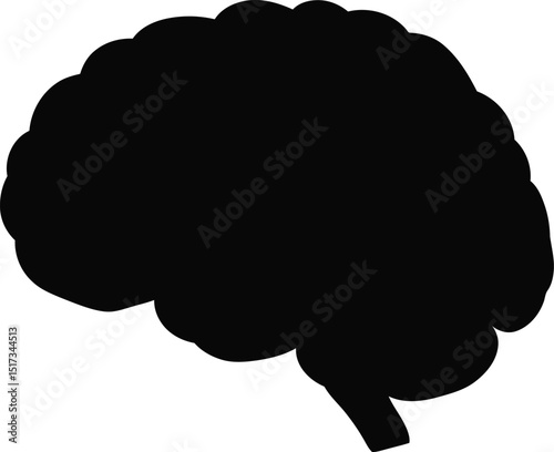Silhouetted black anatomical brain illustration isolated on a white background suitable for medical education or conceptual design