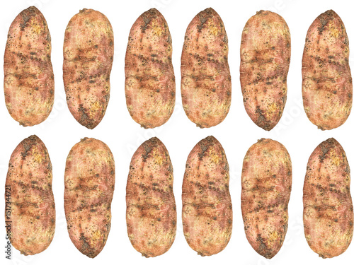 Fényképezés Yam is a general term for a variety of plants whose tubers are edible